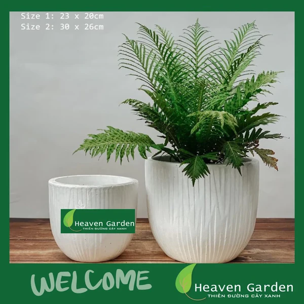 chậu đất nung trồng sen nước trứng sọc dọc sơn wax xuất khẩu tiêu chuẩn châu âu - chậu trồng cây