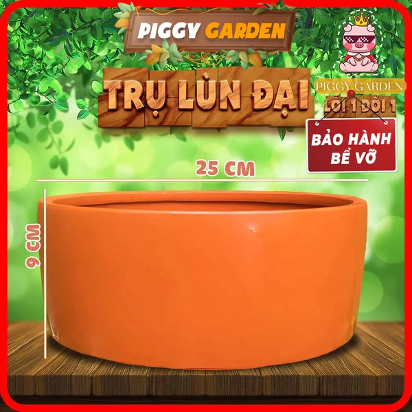 Chậu đất nung - Chậu trồng sen đá, xương rồng - Chậu trồng cây - Chậu cây - Chậu trụ lùn đại 25x9