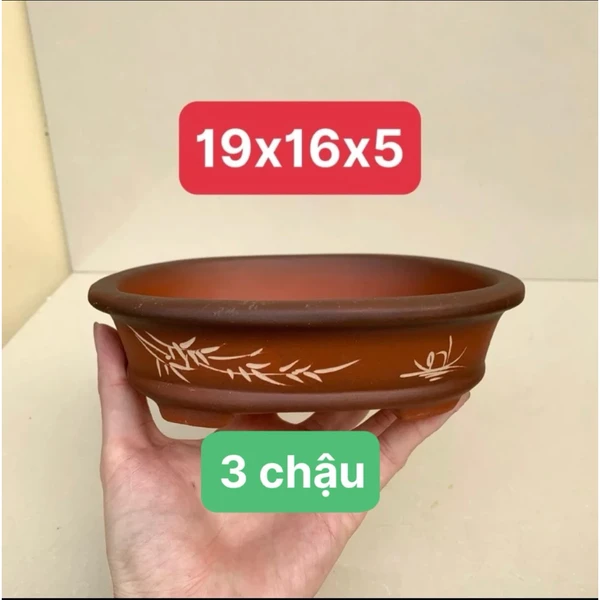 Chậu gốm mini bonsai gốm bát tràng màu gốm đất nung