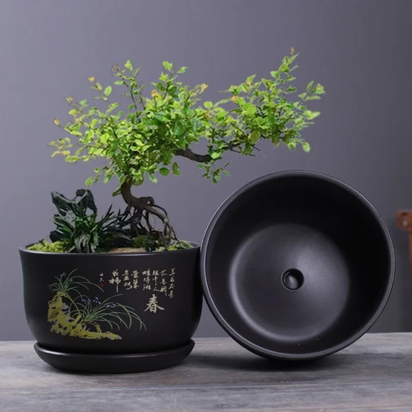 Chậu hoa đường kính lớn Chậu Bonsai mới thoáng khí bằng đá chậu hoa lớn bằng gốm cát tím/chậu Zi SHA mini/chậu hoa nhỏ
