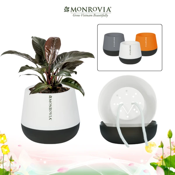 Chậu tự tưới MONROVIA I02 - nhựa PP cao cấp, giữ ẩm dài ngày, hiện đại đơn giản, decor trồng cây cảnh, hoa