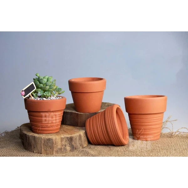 Chậu Đất Nung Ly Gờ Cắt Rối, Chậu Đất Nung Trồng Sen Đá, Xương Rồng, Cây Để Bàn, Cây Trong Nhà