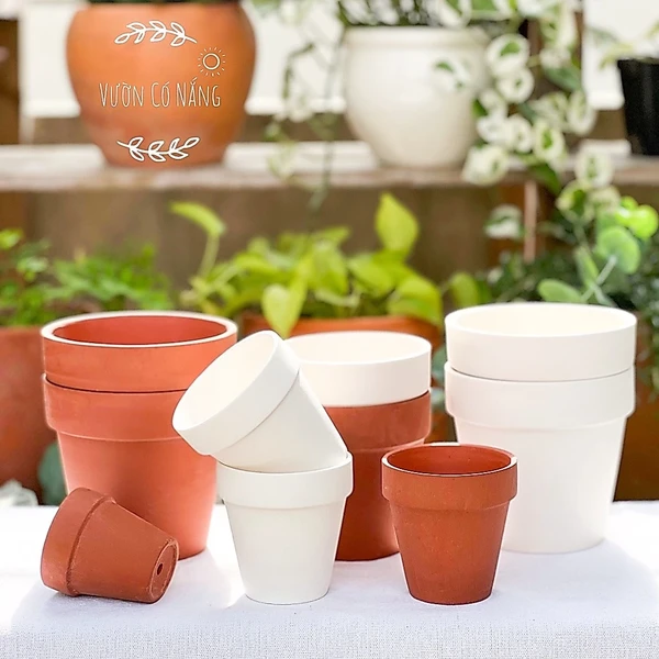 Chậu Đất Nung Ly Gờ, Chậu Đất Nung Trồng Sen Đá, Xương Rồng, Cây Để Bàn, Cây Trong Nhà