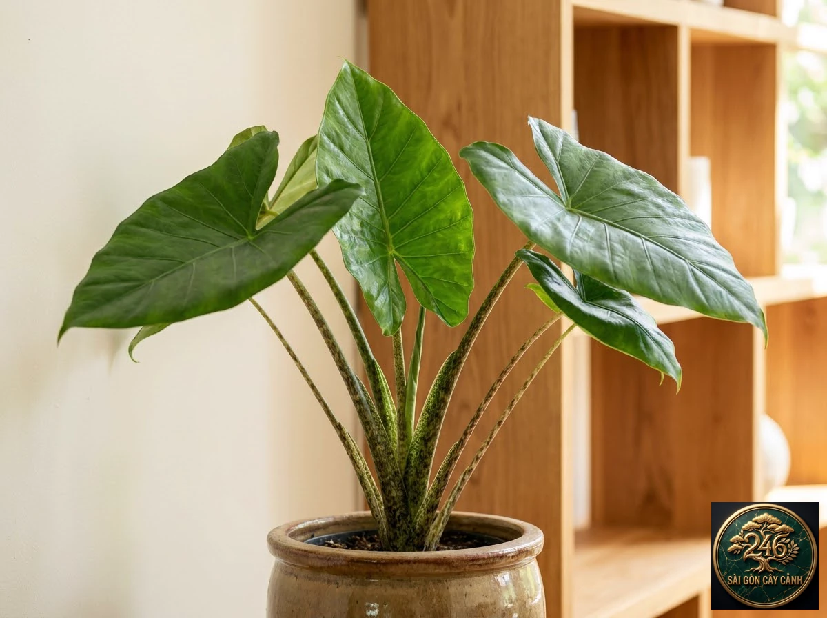 Ảnh AI minh họa Ráy voi khổng lồ: đặc điểm nhận diện